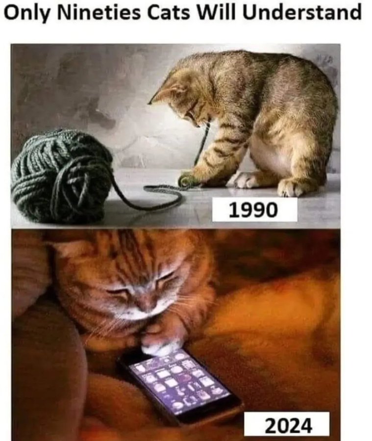 Kissat ennen: kutomassa. Kissat nyt: puhelimella. Kissat ennen: kutomassa. Kissat nyt: puhelimella.