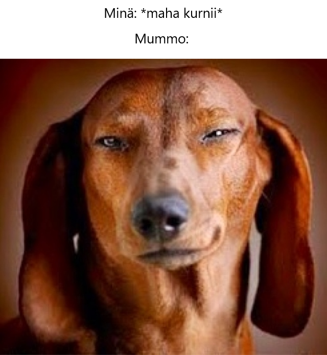 Minä: *maha kurnii*, mummo: (kuva koirasta jolla virne) Minä: *maha kurnii*, mummo: (kuva koirasta jolla virne)