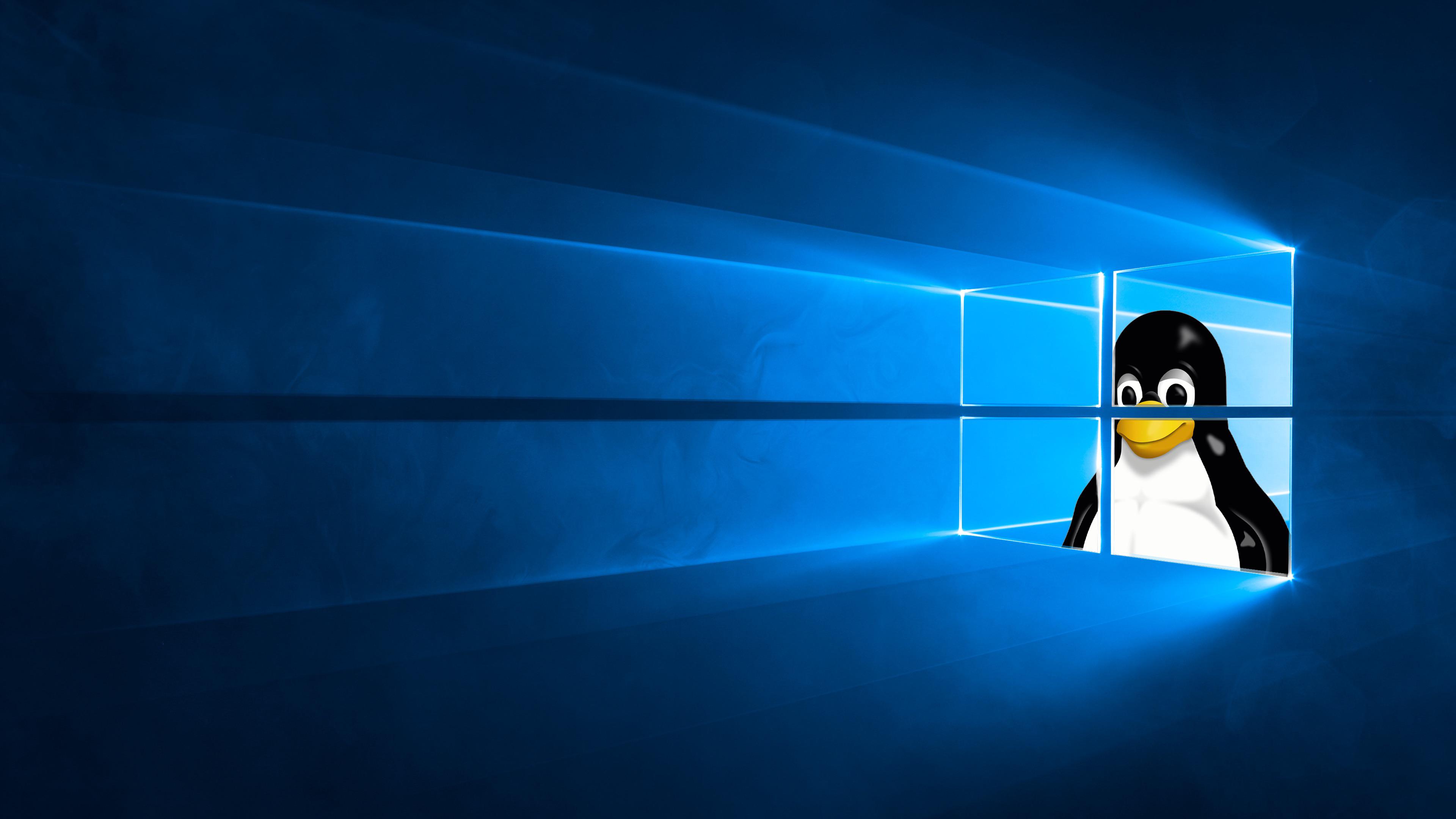 Tässä Linux-käyttäjille hieno taustakuva. Voit pistää kivasti kahteen monitoriin toisen ja toiseen toisen. Windows 10:n vanha taustakuva, jonka ikkunasta kurkistaa Tux-pingviini.