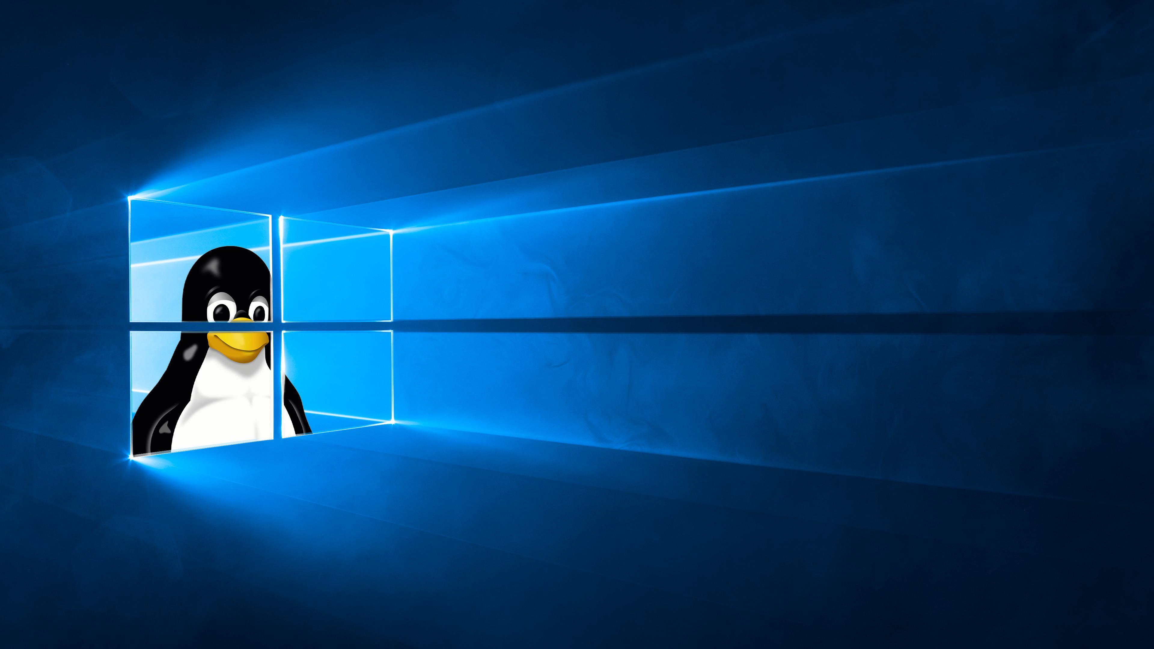 Tässä Linux-käyttäjille hieno taustakuva. Voit pistää kivasti kahteen monitoriin toisen ja toiseen toisen. Windows 10:n vanha taustakuva, jonka ikkunasta kurkistaa Tux-pingviini.